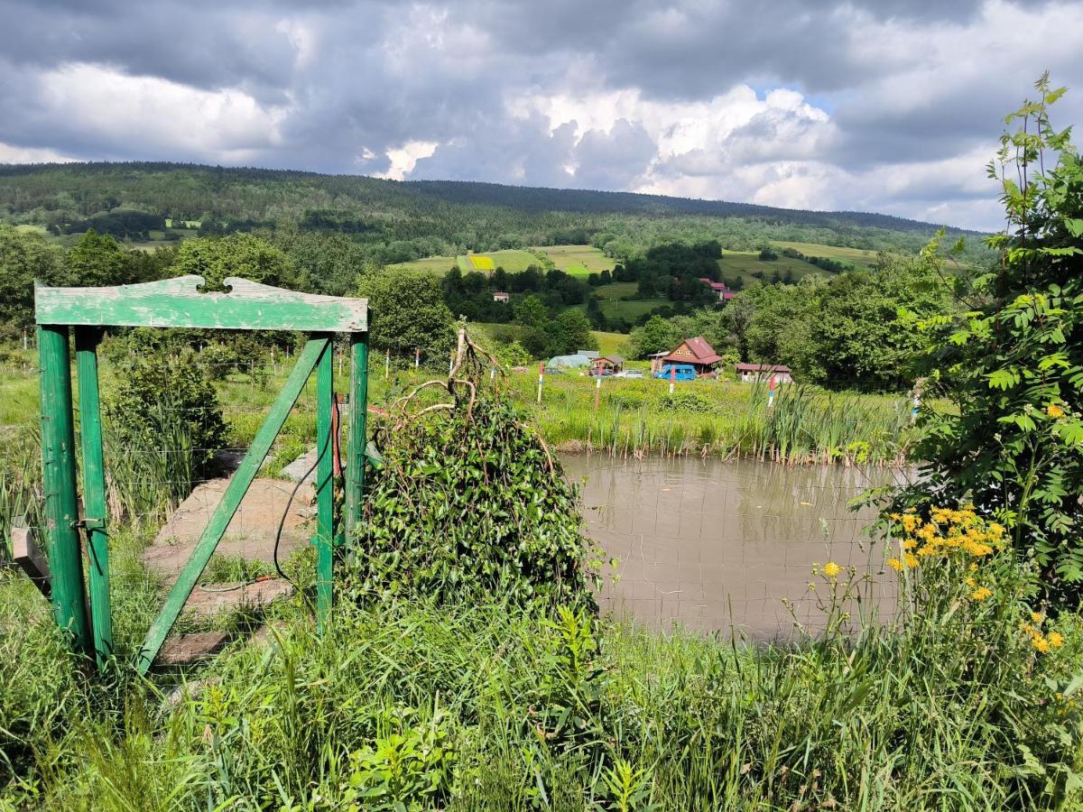 Agroturystyka Odnowica U Pawla Dış mekan fotoğraf